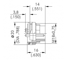 Ataata C091 31T014 200 2