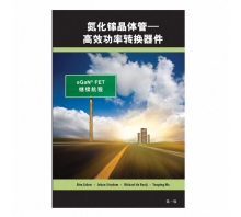 Ataata GAN FET BOOK SIMPLIFIED CHINESE VERSION