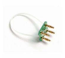 Ataata 884X-SHORT