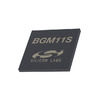 BGM11S12F256GA-V2R